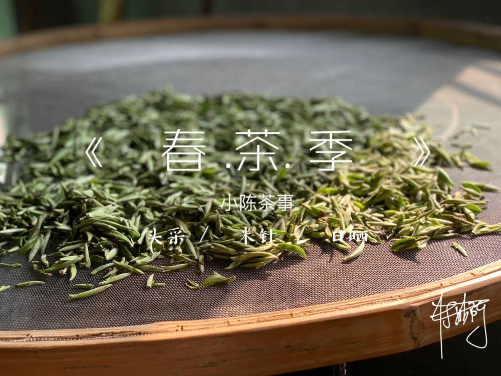 白茶、岩茶、红茶，有清凉感是好还是坏？来听听村姑陈的解读