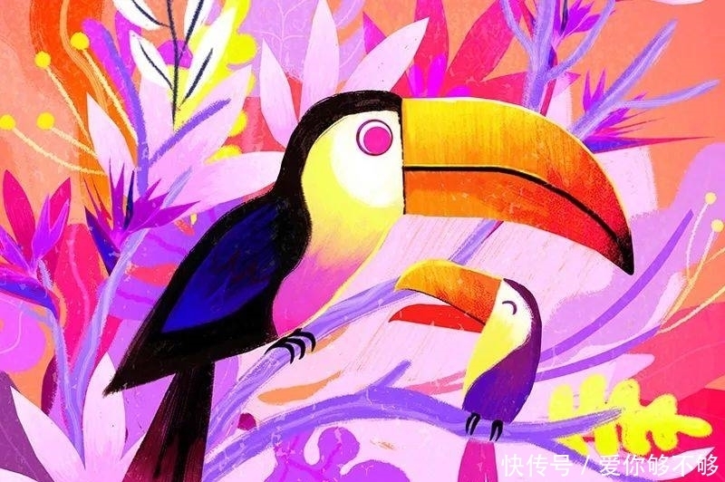 插画|三组各具特色的动物插画,看完很治愈~