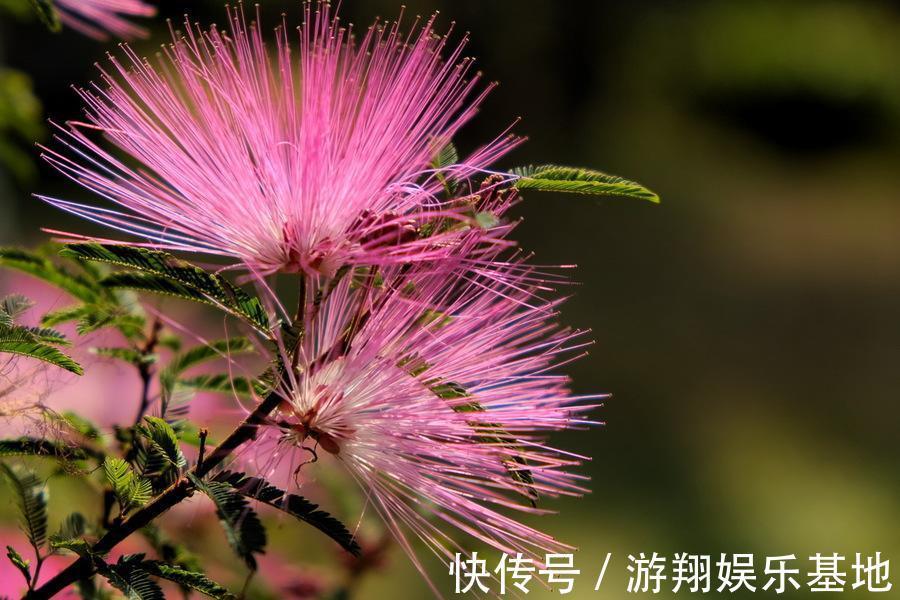 异性|“一生不缺男人”的三个生肖，聪明能干有魅力，很有异性人缘