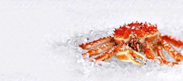 揭秘|揭秘俄罗斯帝王蟹:市场、新格局,鲜美食材背后有看不到的博弈