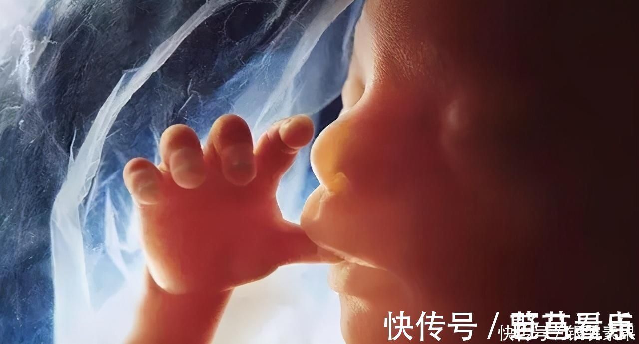 睡眠时间|孕妈晚上睡觉时,宝宝“偷偷”在肚子里干什么这也太可爱了吧