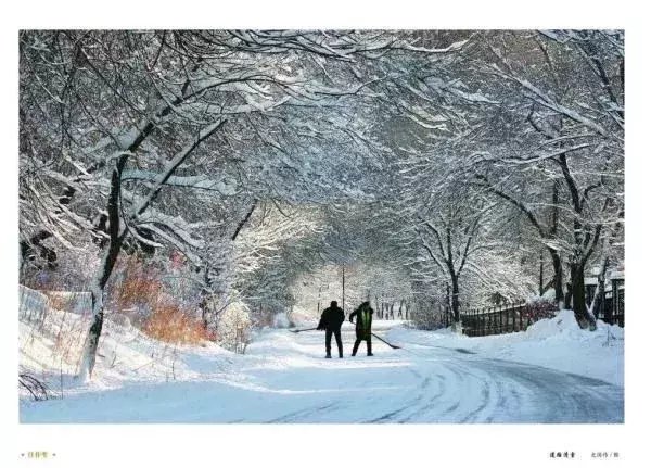  区税务局驻|大雪节气，想和你一起去看雪！一起，慢慢白了头~