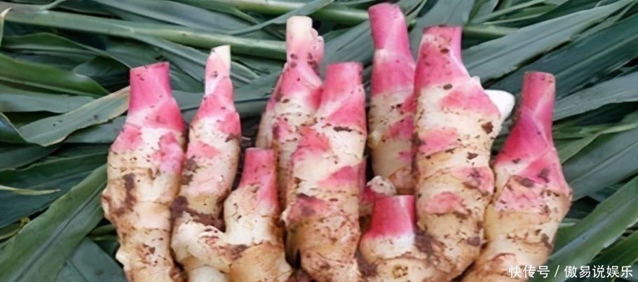 青李子|人到中年想长寿,可以经常吃3种食物,延缓衰老,有益健康!