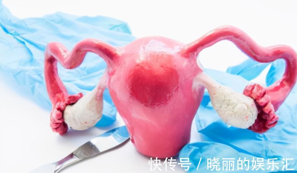 激素|为什么越来越多女性怀不上孩子?或与3个因素有关,男女需要了解