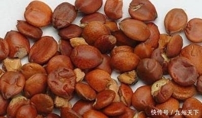 失眠|它是纯天然的“安眠药”,睡前泡一杯温水,和失眠说拜拜!