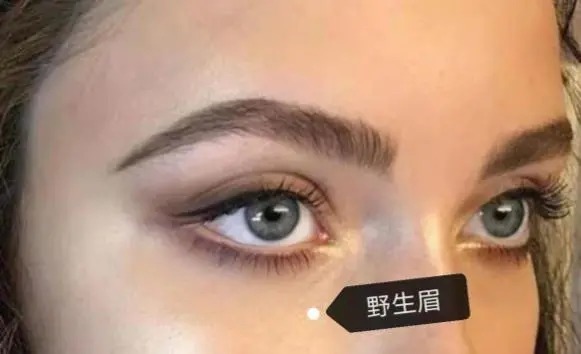 原生眉？野生眉？