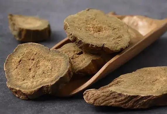 五十二病方|国医大师任继学:从伏邪论治出血性中风经验