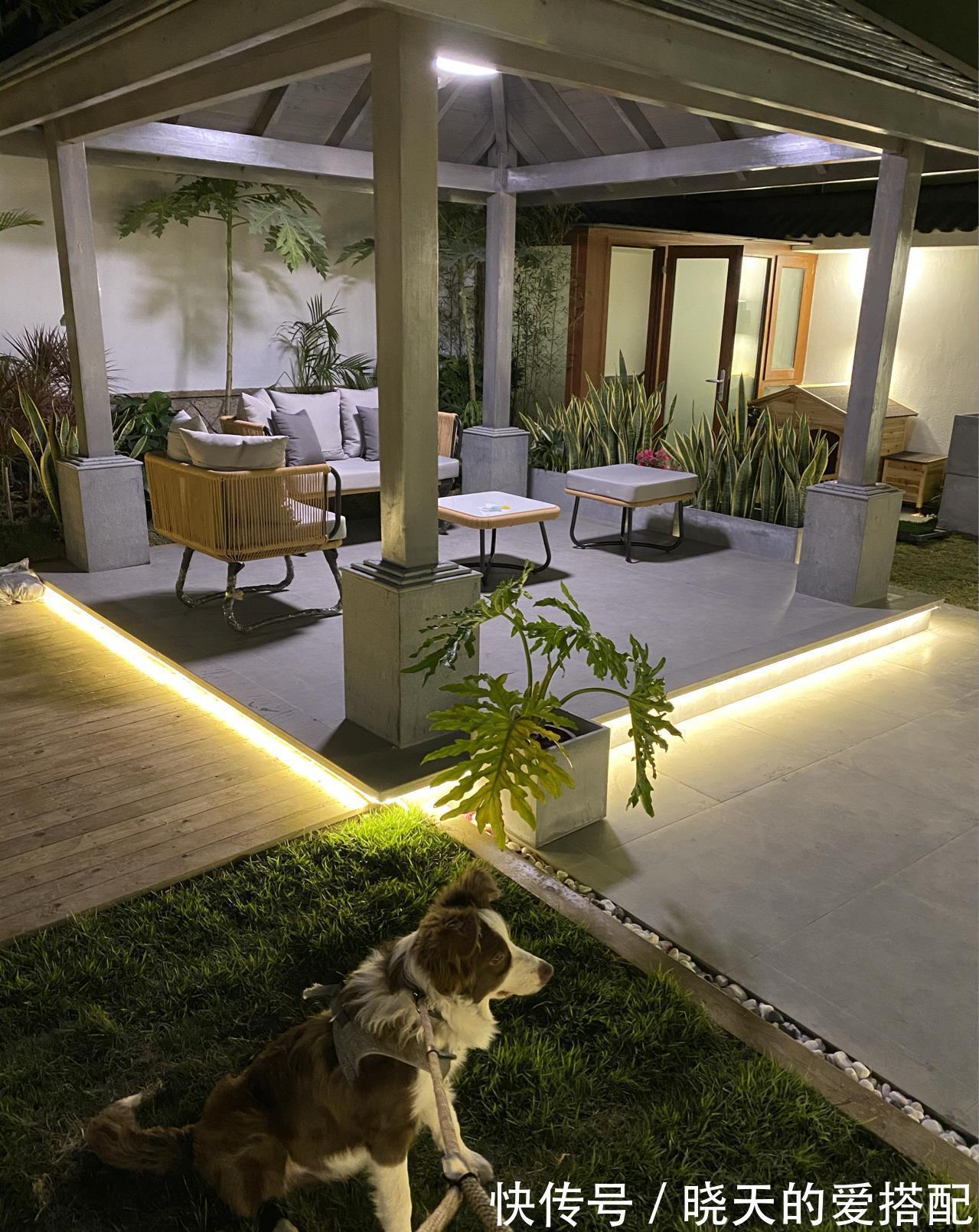 治愈系|小空间庭院花园,正确的绿植搭配技巧,让小院落变身治愈系小花园