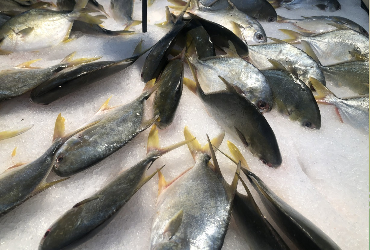 海产品|鱼贩子从不吃的2种海鲜，寄生虫“扎堆”又贵又难吃，快来看看