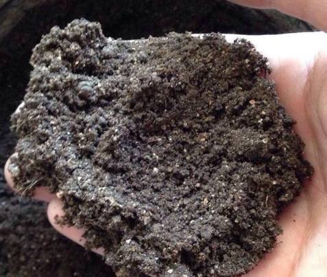 此种肥料到处都是,用来养花,10年不积水烂根,年年开花爆盆