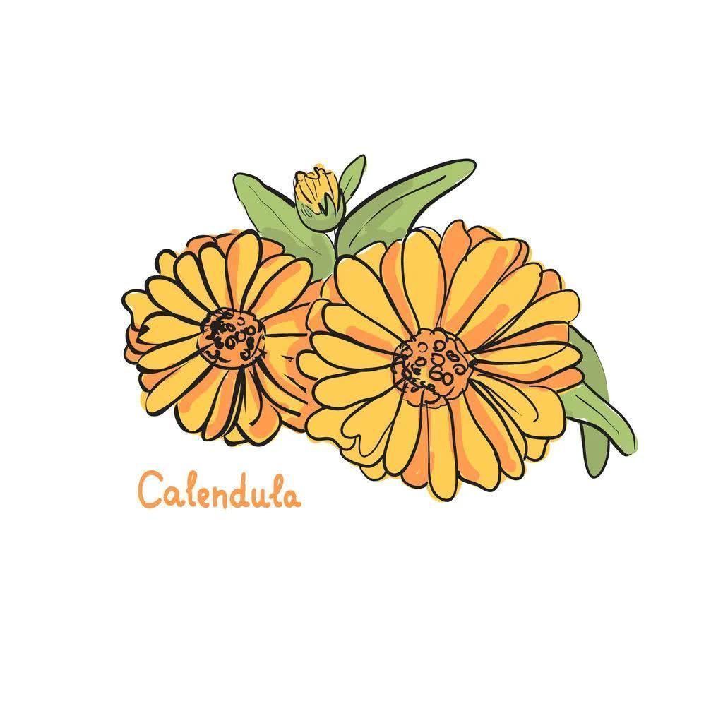 护肤品|护肤品界的“秀儿们”,出圈秘诀都在这了