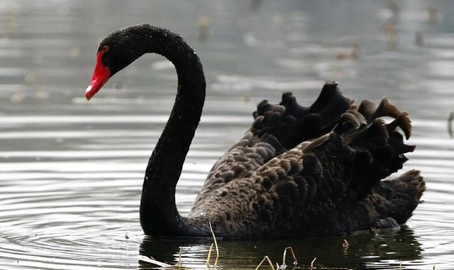 诗词#诗词:水汇奔流总向东，愁也随风，喜也随风