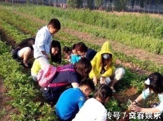 奶奶|把妹妹托付给乡下的姥姥,把哥哥给乡下奶奶,几天后,妈妈笑喷了