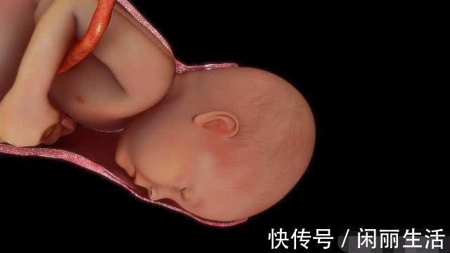 准妈妈|怀孕后,如果孕妈坚持做3件事,或许肉肉都会长在胎宝宝身上