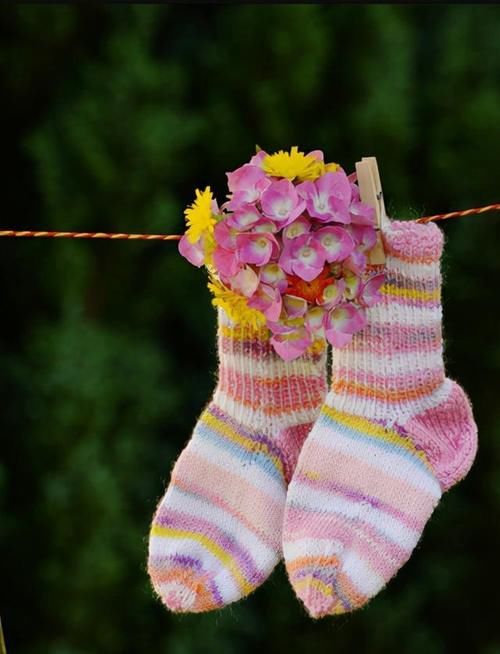 气血|秋天不养，一年白忙！到了秋季，几个简单的养生宜忌，一定要知道