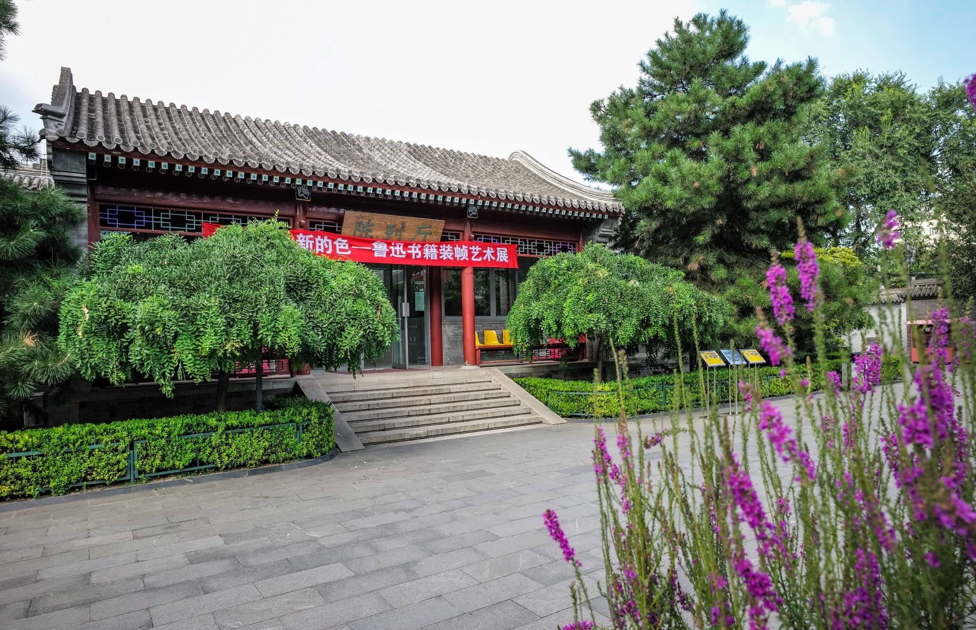 小巷|这小巷中两棵枣树有何神奇,众人争相参观,还引发百年争议