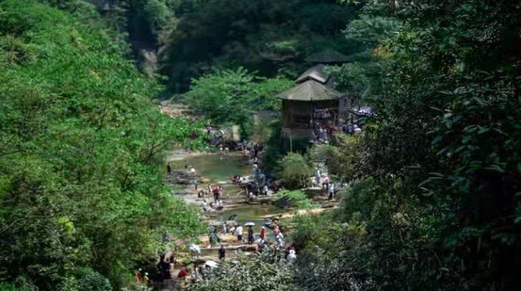 旅游市场强势复苏，重庆旅游集团恢复情况领跑全市