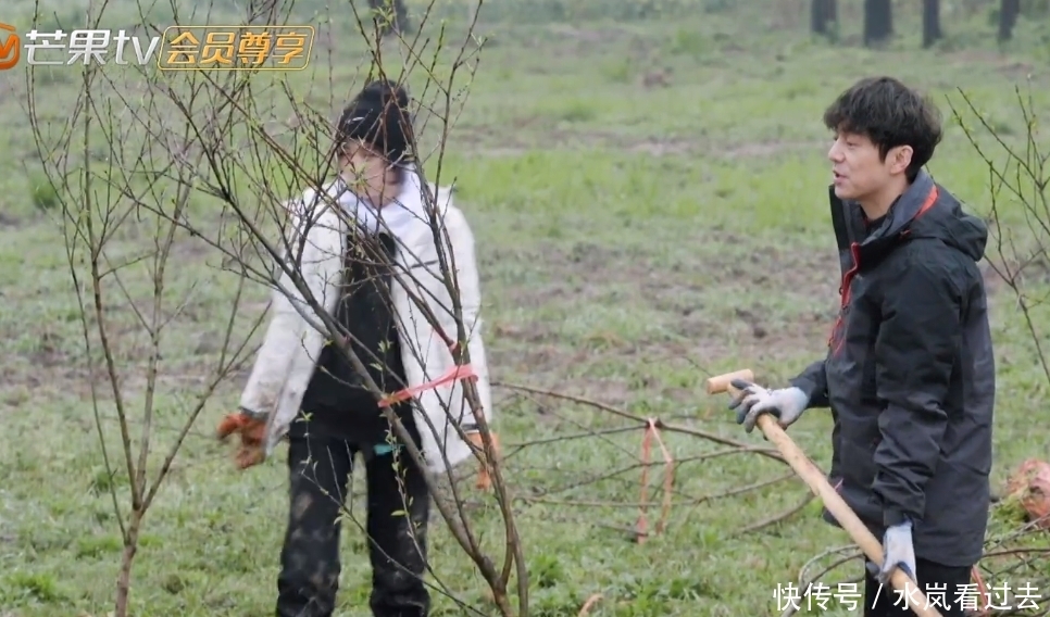 彭昱畅|张艺兴、杨紫种树被质疑作秀?挖坑时的动作引发网友热议!