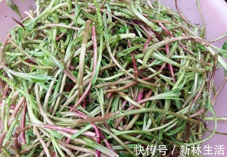 美白|聪明的人爱吃3种食物，排毒养颜、美白护肤，早吃早好！