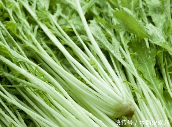 乡下种植蔬菜掌握高效管理技术;和病虫害防治;防治方案详解