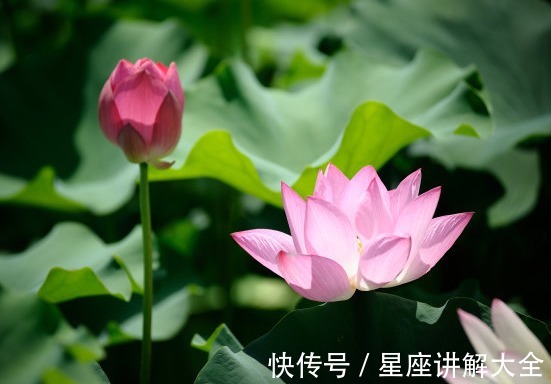 财运|8月苦尽甘来，4属相财运回暖，桃花旺盛，事业爱情双丰收