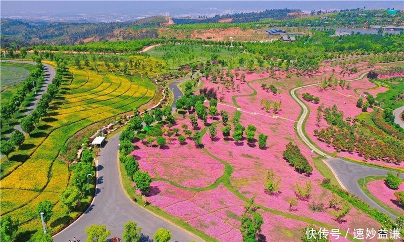 太平公主|中国旅游日将至 快来太平湖森林小镇感受花样时光