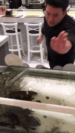 |搞笑GIF:当她转身的那一刻,我手里的板儿砖已经不淡定了。