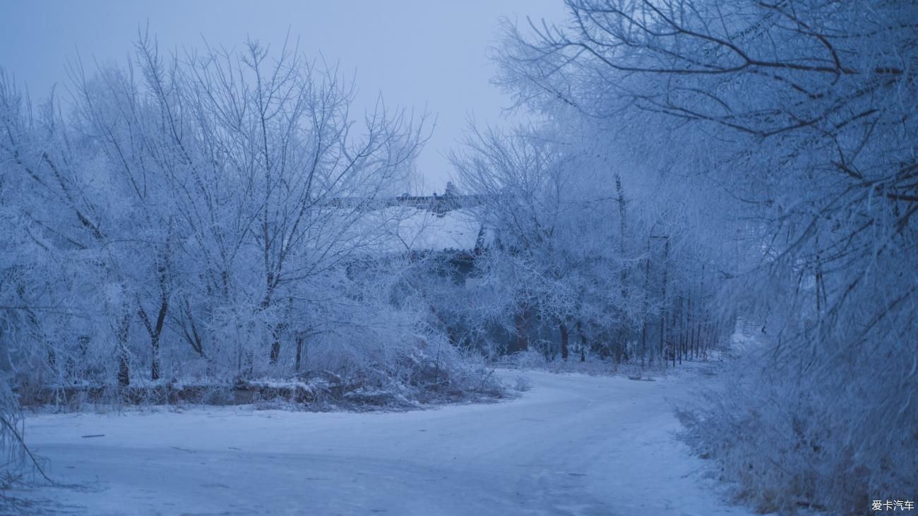 老年|在寂静雪原 遇见雪花真实的形状