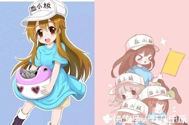 pl一年级小学生COS血小板,真的太萌了,日本家长真会玩