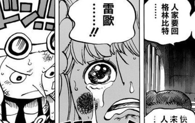 国家|海贼王乔伊波伊是咚塔塔王国的人,伊姆可能是路飞的母亲