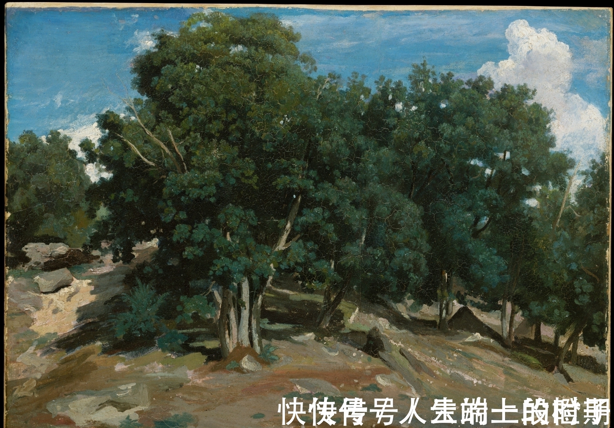 印象派$法国风景画否定写实,转型为表现,它的变革却取得了成功