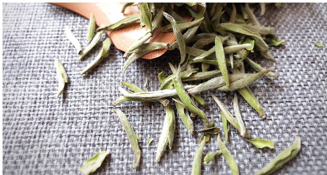  白茶起源于什么时候？ 白茶入门，从这篇文章开始，了解白茶！