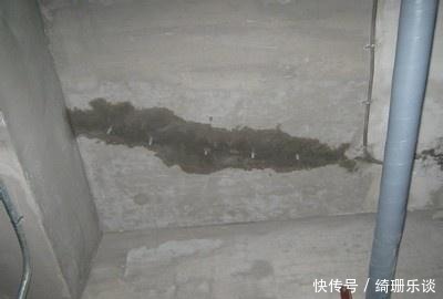 高空抛物|买了房付了钱,交房时候发现居然是腰线房,整个人瞬间不好了