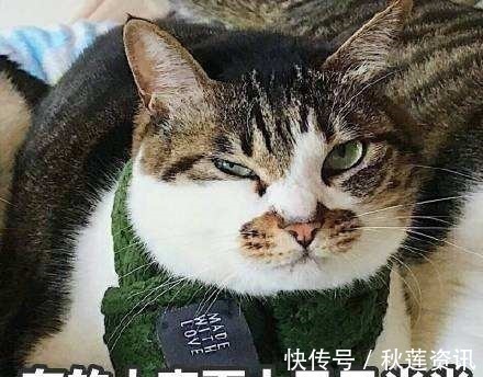 对症治疗|便秘还在乱用开塞露 外婆一个妙方, 连吃3天, 天天排便!