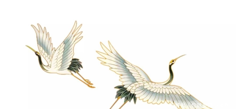 学好|学好“四十八愿”:细致解析第十一愿——正定必至涅槃愿(1)