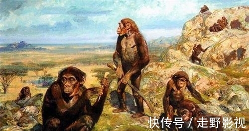 芯片|渔民捡到奇石,镶嵌2.5亿年前“芯片”,史前真的存在高等文明?