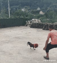 |搞笑GIF趣图：夫妻相相似度百分之九十九，好幸福哦