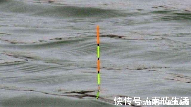 钓鱼|浮漂有动作,提竿却不中鱼,这种情况该如何应对