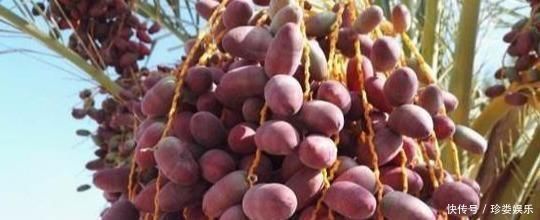 健康|中年人可以吃3种食物,排毒养颜、延缓衰老,早吃早健康