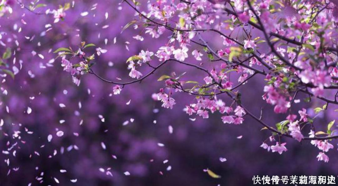 惊艳|暮春时节落花纷纷,周敦颐写下一首诗,短短的几句美得令人惊艳!