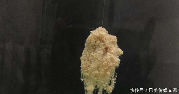 拉饵|钓鱼技巧:“水拉饵”是个什么饵料?是如何搭配使用的?