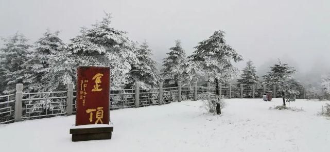 情怀|只下了一场雪，峨眉山又多了这些名场面