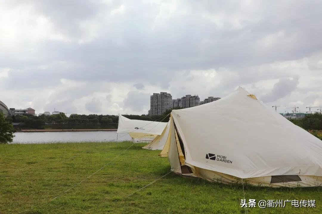 孔子花田|风车、花海、绿皮小火车……衢州这块家门口的网红打卡地宛若宫崎骏漫画！