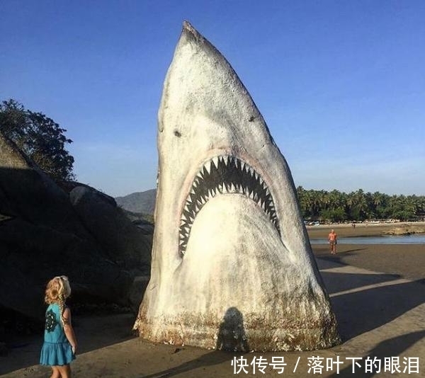 珠峰|印海滩有一块奇特的大白鲨巨石,露出尖牙利齿,成为网红打卡胜地