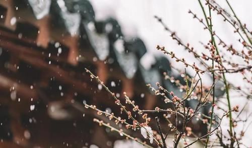  寥寥|宋人写雪的一首小诗，少有人知，寥寥20字，却写尽了离别的销魂