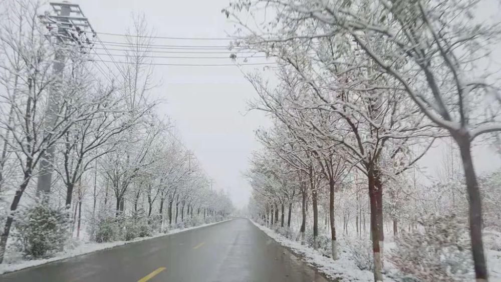 简直|雪中的泾阳，美得简直太...