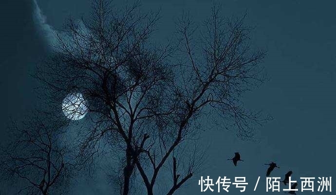 李邕！落选《唐诗三百首》最著名的20首诗，清明、赠汪伦、鸟鸣涧在其中