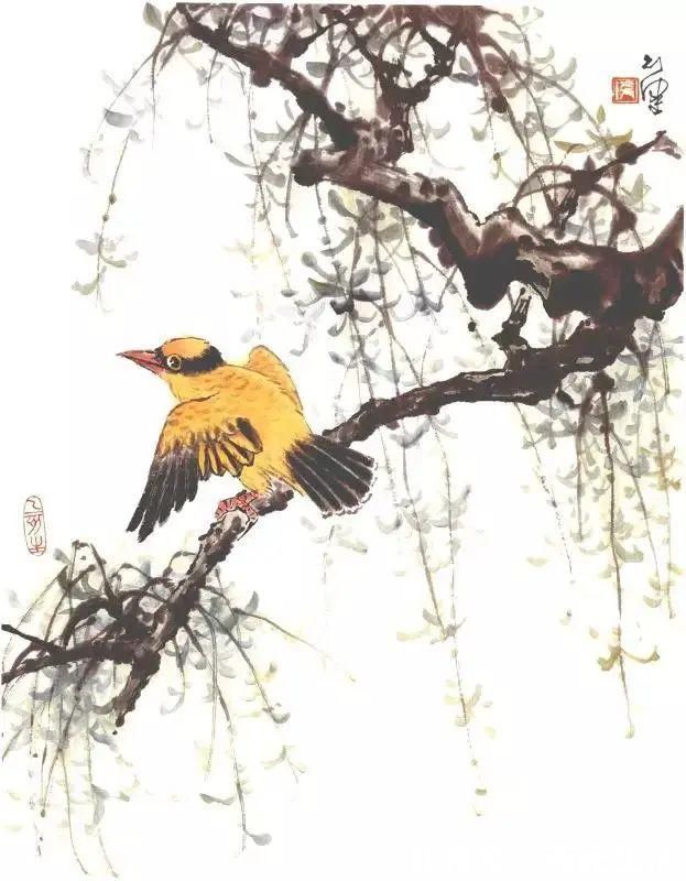 花鸟画@他的师父是海派小写意花鸟画第一人江寒汀,其作品自然也不差