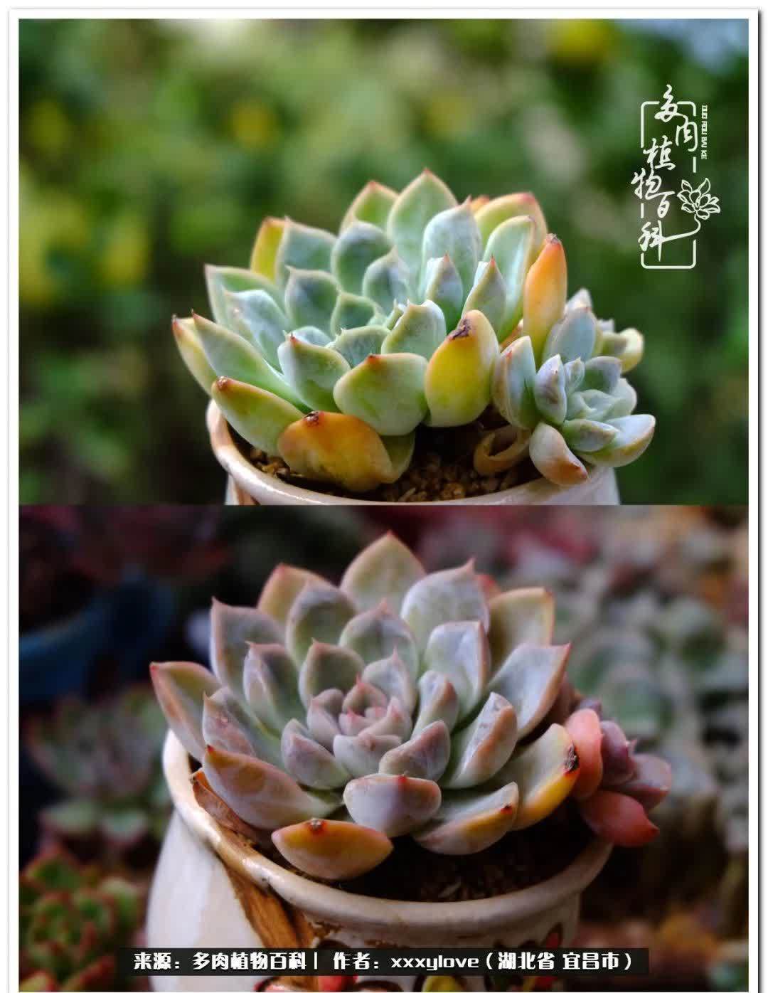 时光匆匆,一闪而逝,这世间万物的美,都值得被记录!