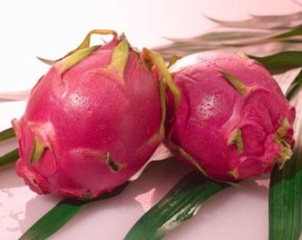 日常生活中|天然的“胰岛素”,糖尿病患者坚持泡着喝,血糖“偷偷”降!